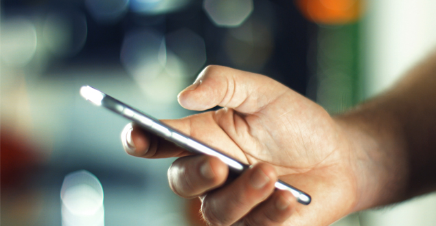 Person Holding a Cell Phone 